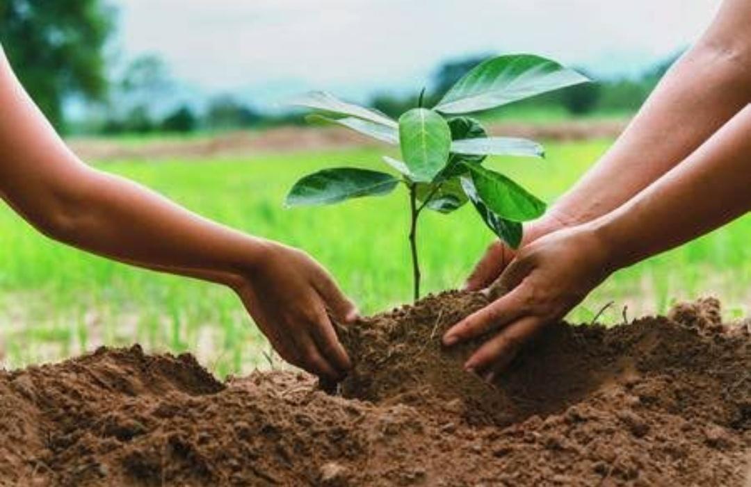 Sustainable Environmental Resource Management